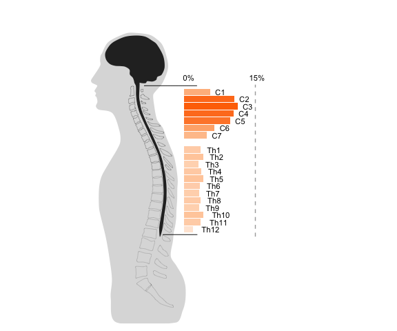 Distribution of lesions found on MRI along the spinal cord in base cohort, based on MRI data when cervical and spinal cord were scanned in the same session (data from 818 whole cord MRIs).