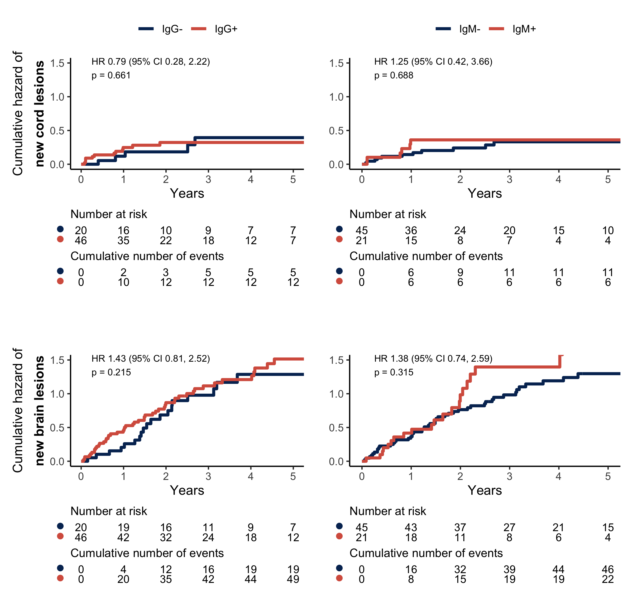 Cumulative hazard plots and risk tables for spinal cord lesions (upper row) and brain lesions (lower row). Patients with (red line) and without (blue line) intrathecal IgG production (left column) and IgM production (right column).