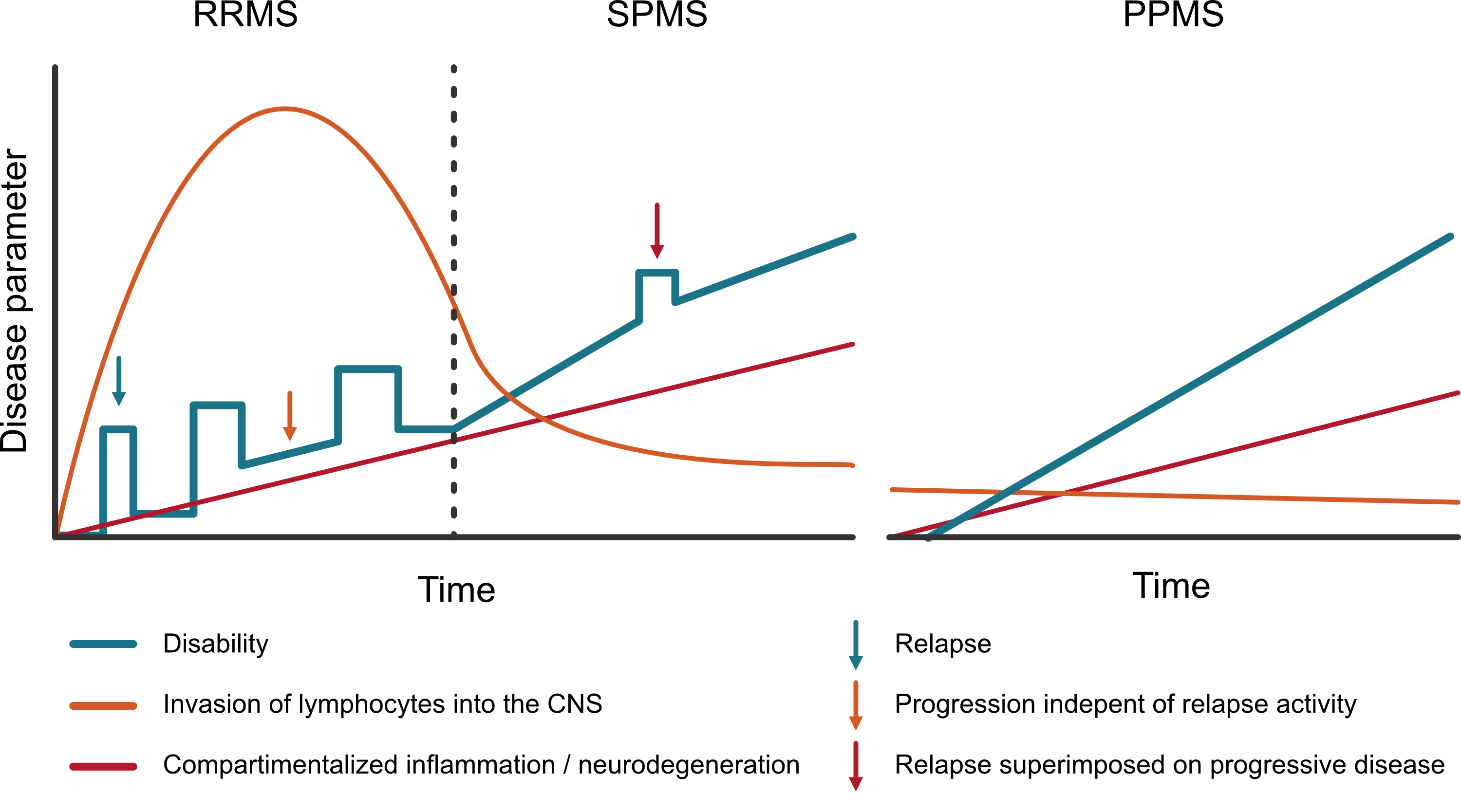Figure 1.2 - Disease course in MS subtypes and related inflammation type.
